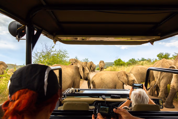 Kerala Wayanad Tour Packages