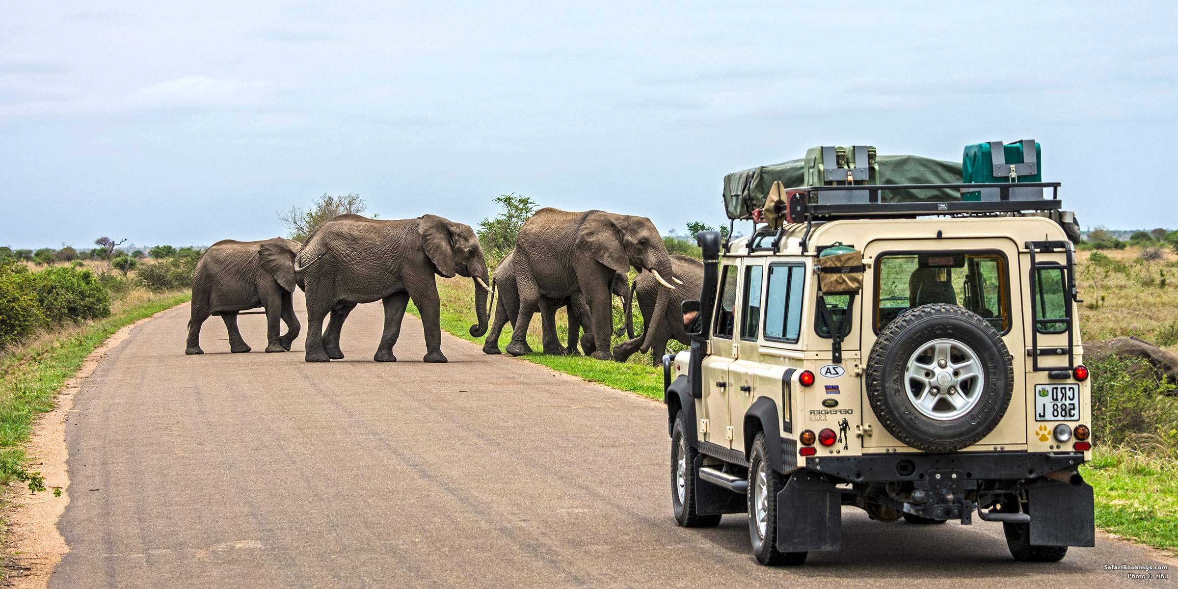 Kerala Wayanad Tour Packages