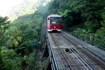 Kerala Wayanad Tour Packages