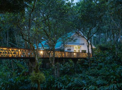 Kerala Wayanad Tour Packages