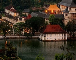 Kerala Wayanad Tour Packages