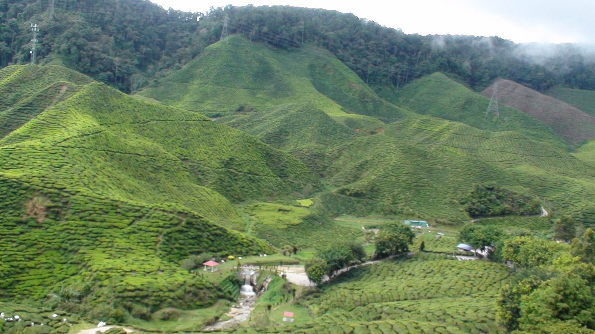 Kerala Wayanad Tour Packages