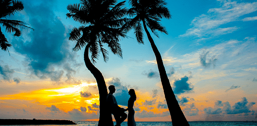 Kerala Wayanad Tour Packages