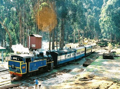 Kerala Wayanad Tour Packages