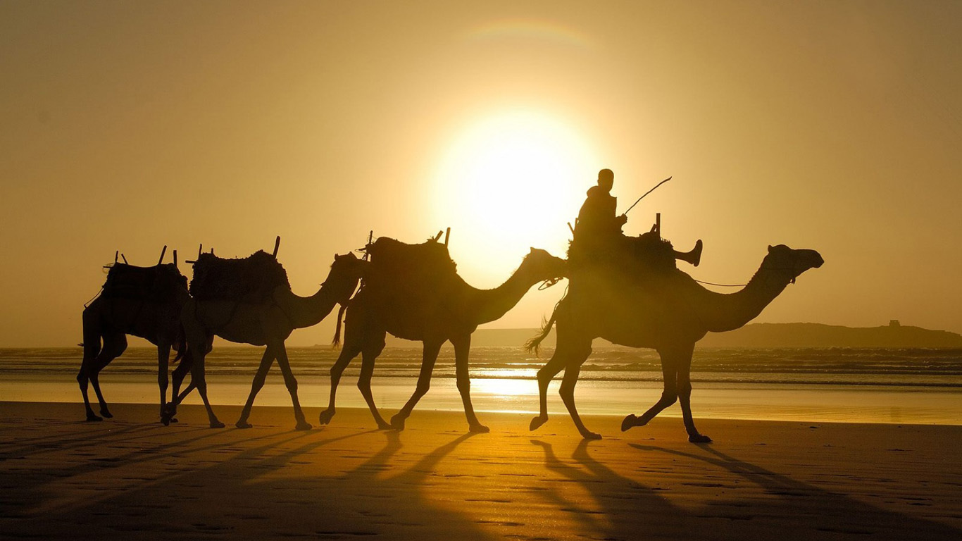Kerala Wayanad Tour Packages