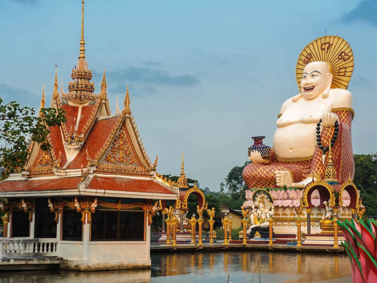 Kerala Wayanad Tour Packages